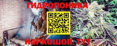 трава Бузулук